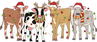 Christmas 59 - Christmas Cows