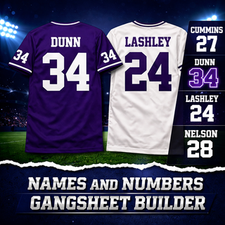 Names and Numbers Gang Sheet