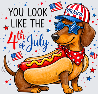 Dachshund 4th of July