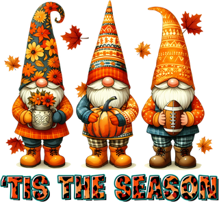 Fall Autumn Gnomes with Pumpkin Football and Leaves Tis The Season